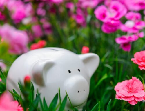 April 2024: This Spring Give Your Money New Life